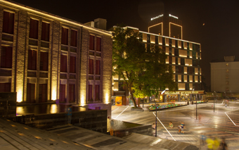 Stake(�й���)�ٷ���վ